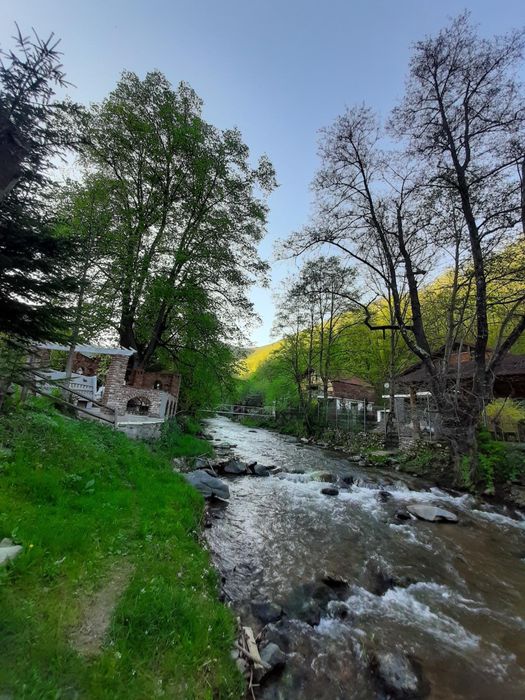 [REV ocupat) Cabana de inchiriat 18 pers-PISCINA si CIUBAR (acceptam C