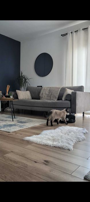 Canapea fixa catifea + 2 fotolii