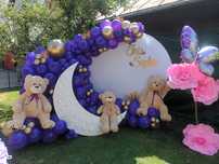 Arcada baloane botez Aranjamente flori cristelnita PHOTOCORNER BOTEZ