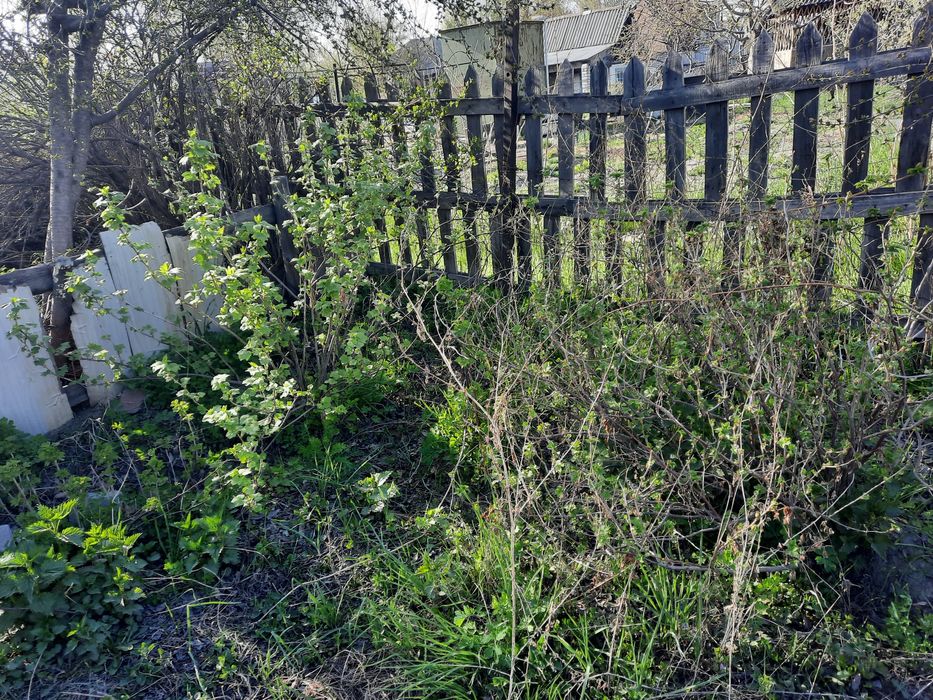 Продам дачу на бобровке