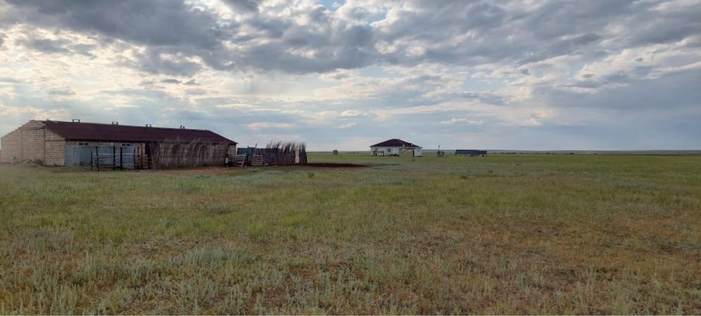 Сатылымда қожалық.