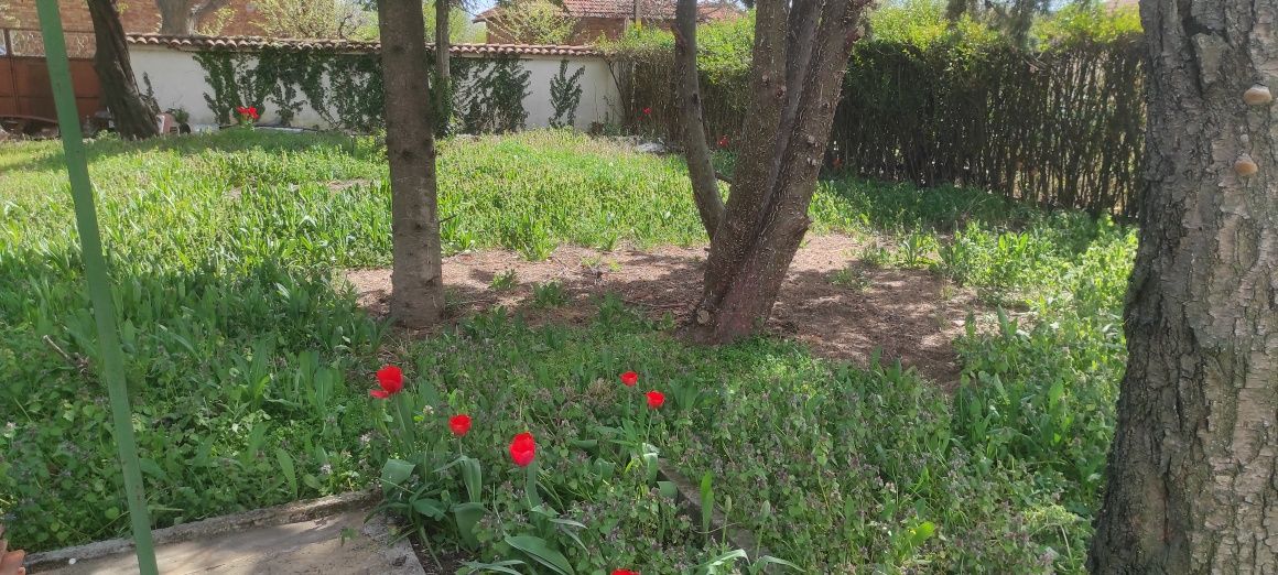 Продава се Къща в с. Асеновец, Област Сливен - 2200 кв.м за 26 €/кв.м - Снимка #6