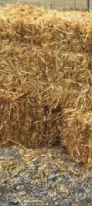 Baloți  de paie grâu