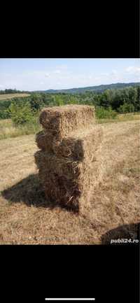 Vând baloți de fân și lucernă