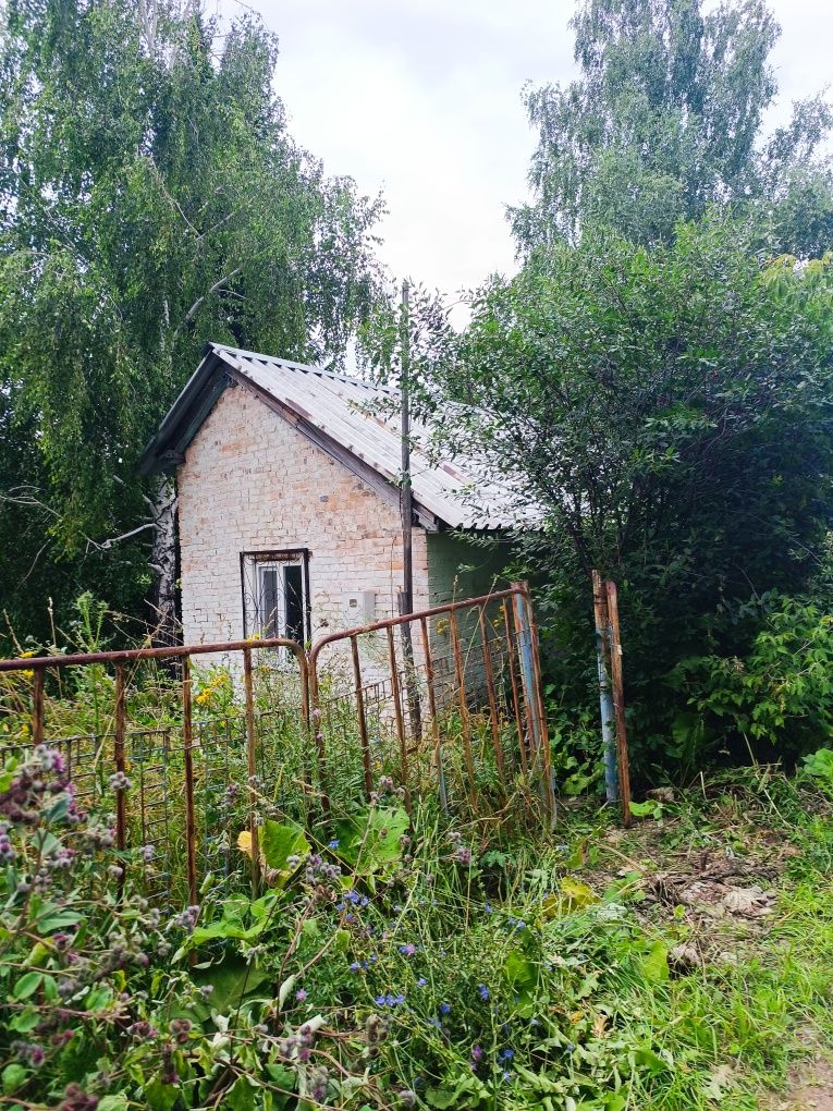 Продам дом в Топихе