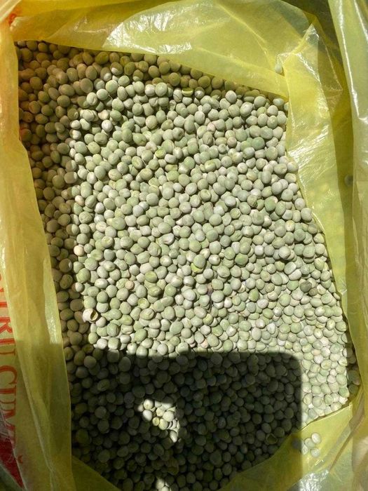Mazăre verde vrac sau BB 1 tonă – 2,6 lei/kg