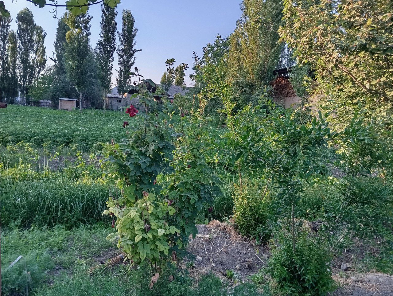 Срочна йер учаска  сотилады