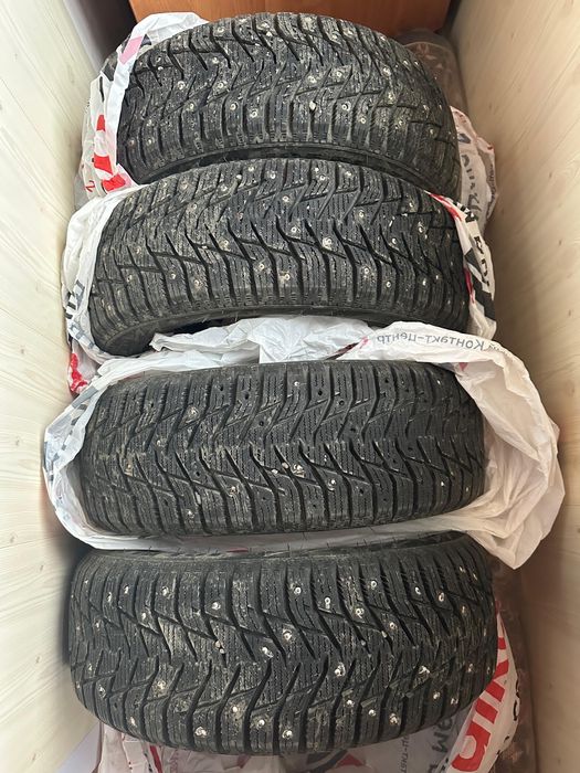 Покрыжка зимний жағдайы жақсы,1 ай жарым журылген тек