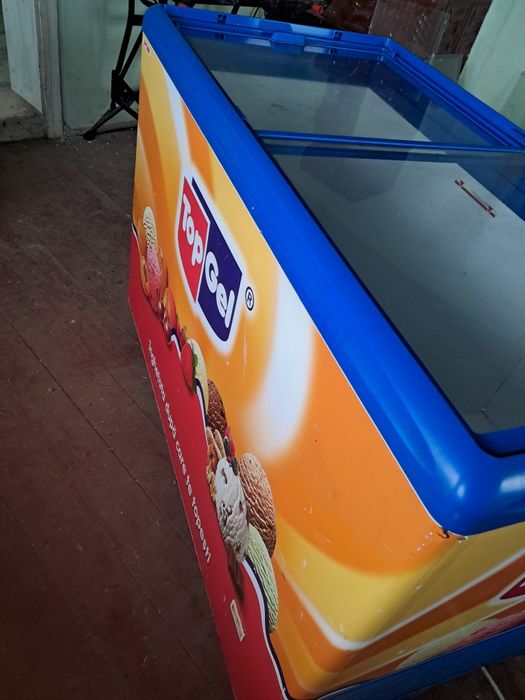 Lada frigorifica cu sticla 300l