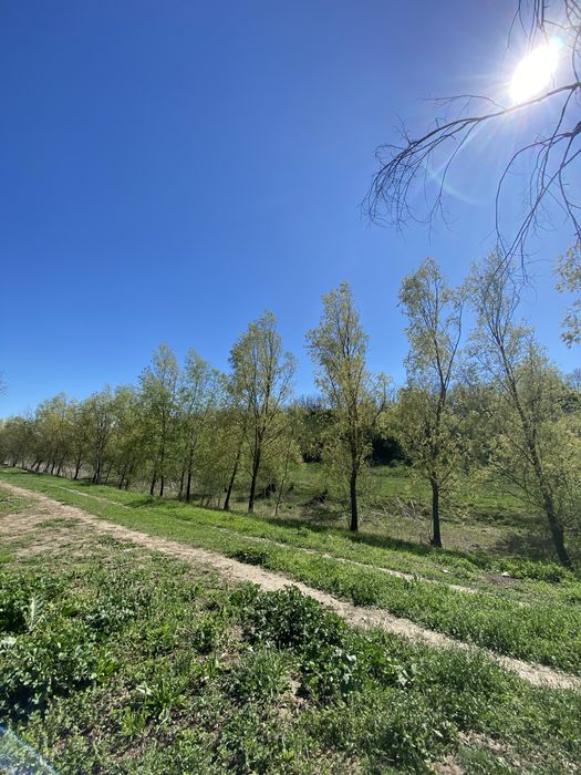 Teren intravilan 1137 mp, apa curenta, acte la zi