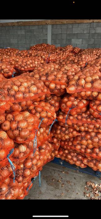 Ceapă albă de vânzare!!!