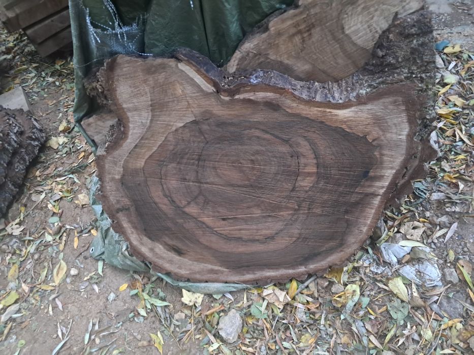 Rondele nuc. PREȚ SUPER BUN