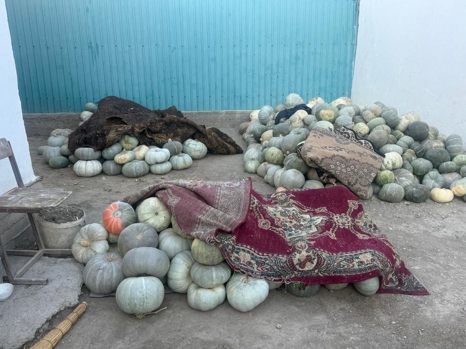 Аскабак сатылады