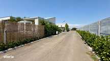 Inchiriez casa 4 camere Corbeanca, 500mp teren, liniste cartier privat
