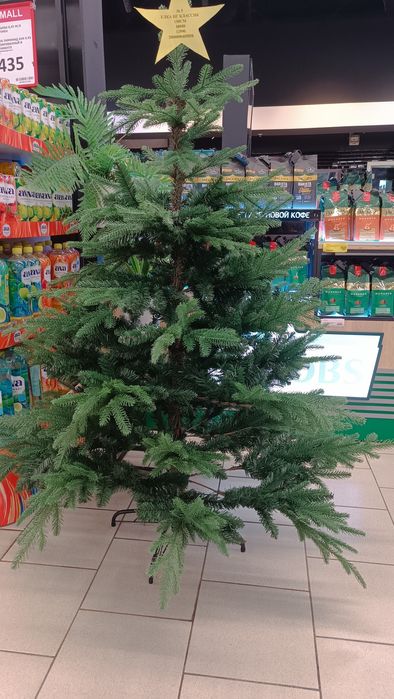 Ёлка ёлка ёлка ааааа