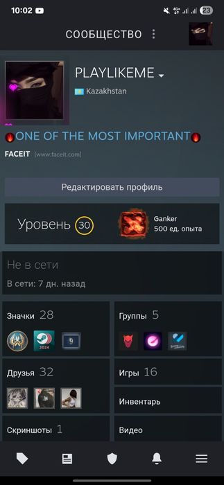 Steam Account 30lvl