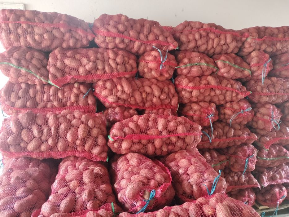 Cartofi consum  albi și rosi