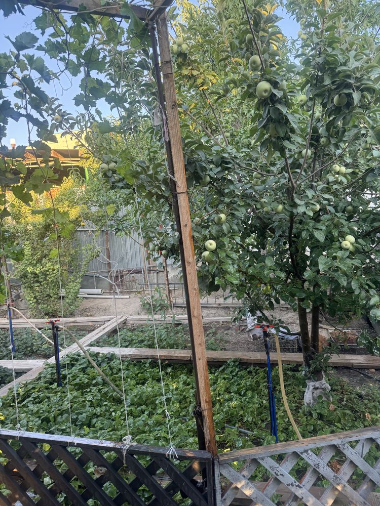 Сдается в аренду частный дом (посуточно)