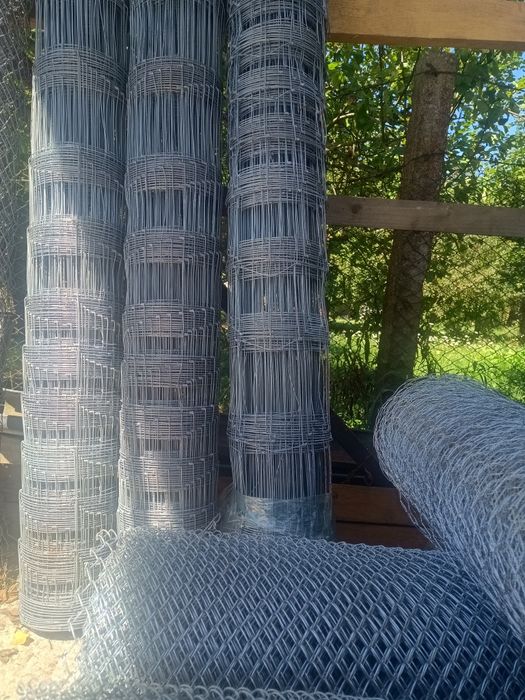 Plasa innodata Farmer