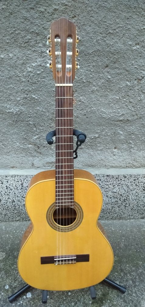 Китара кубе Ibanez Roland Hughes and Kettner 12 string guitar Framus