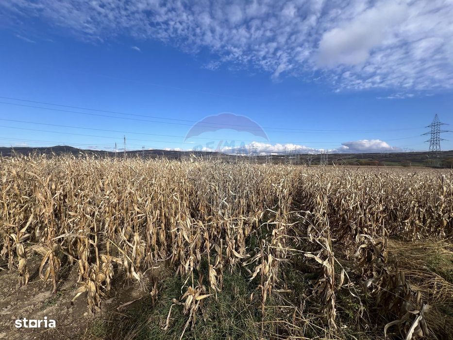 Teren extravilan agricol de vânzare - Selimbar Sibiu