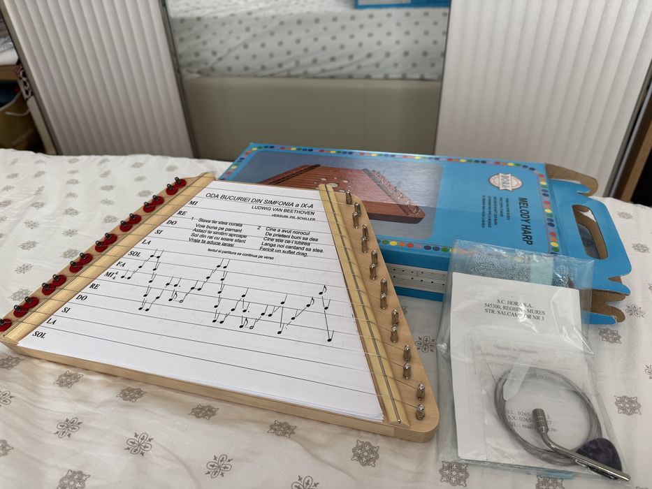 Melody Harp Hora Reghin 20/37 cm