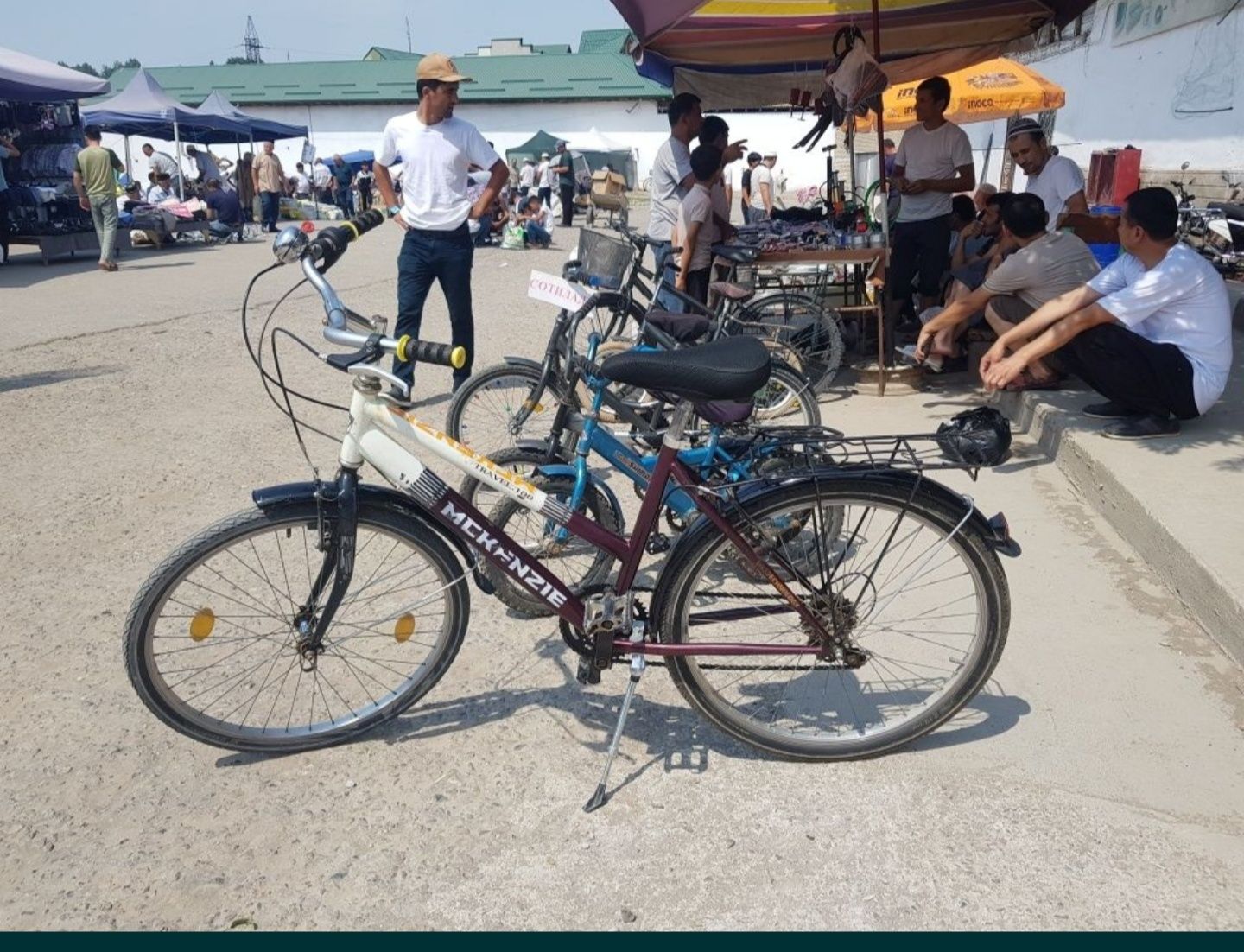 Germanskiy velosiped. Kami bor