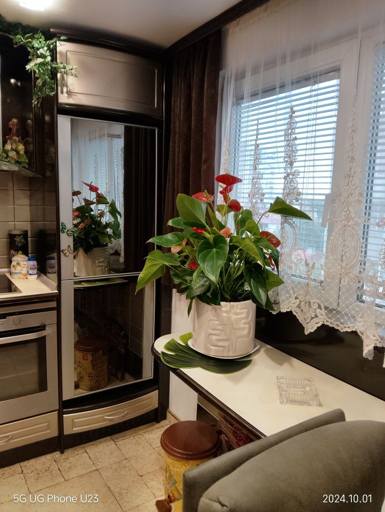 Дава се под наем Тристаен апартамент в Варна, ВИНС - 55 кв.м за 714 € - Снимка #17