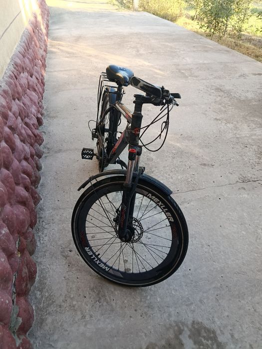 Sport velasabeti