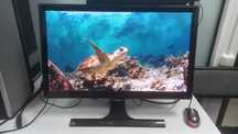 Samsung_Full HD 22"дюйма "PLS" (55 см) (HDMI, AUX, VGA)
