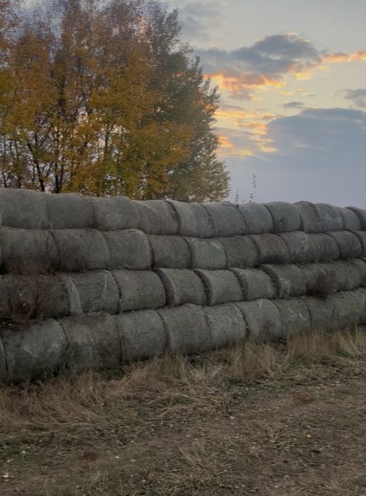 Vand baloti de acum 2 ani