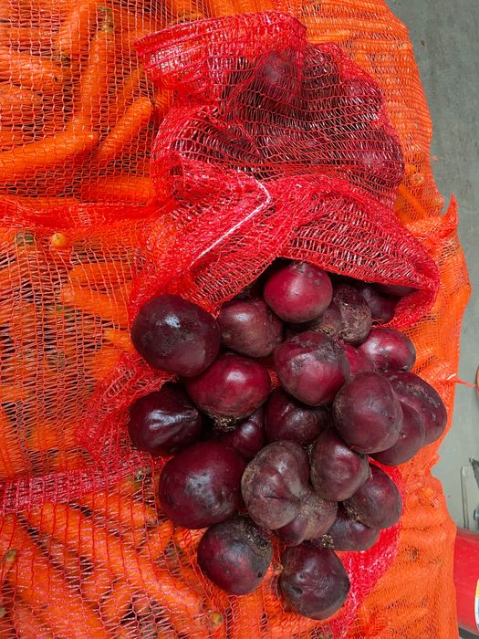 Sfecla rosie,Cartof , Pastarnac