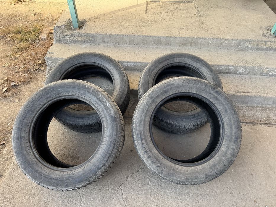 проаю зимних шин