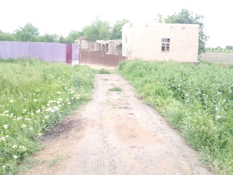 Uchastka maydoni sotiladi
