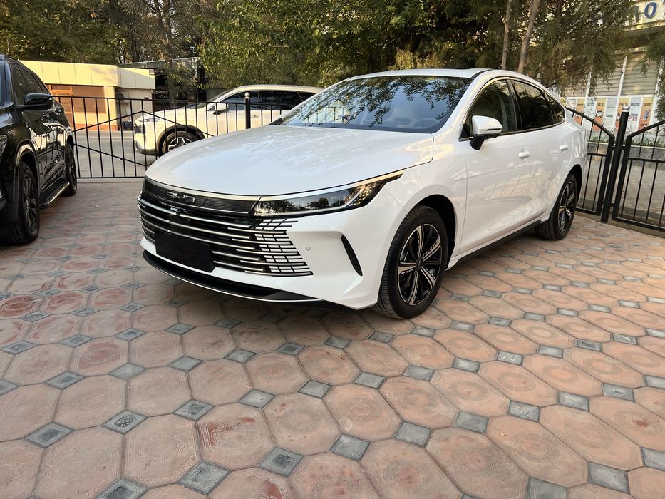 Byd Chazor Gibrid 120