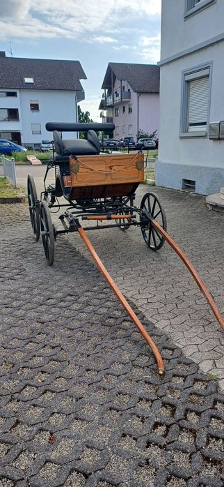 Caleasca/Fiacar  impecabila