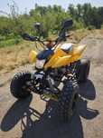 ATV Bashan bs200 АТВ Башан
