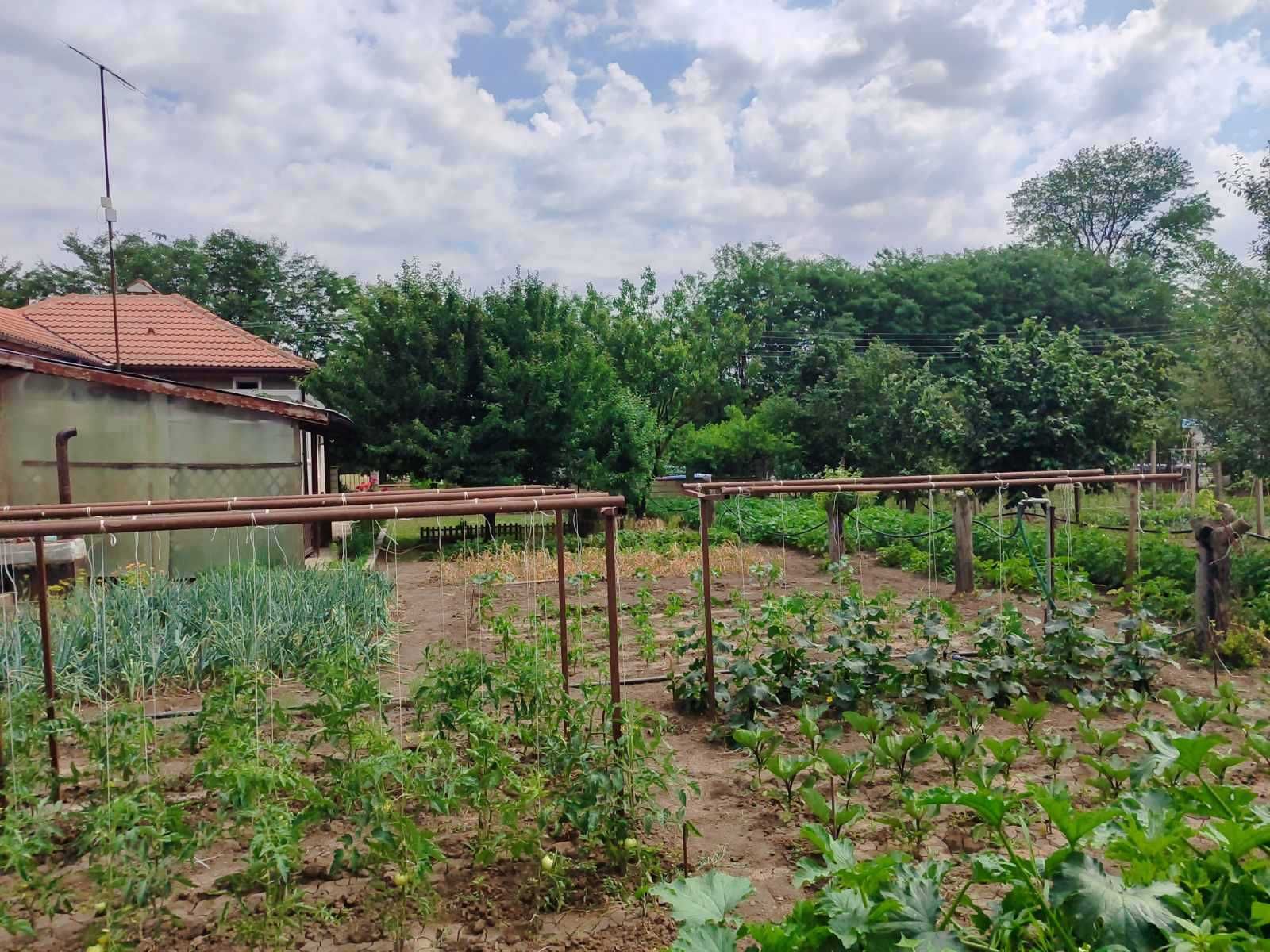 Реновирана къща в Кардам