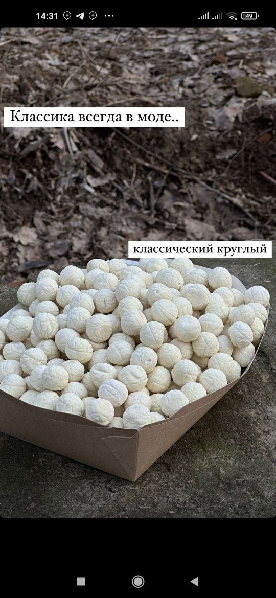 Gilvata Qurt buket Glina gulvata kesak Qurt,Toshqurt,assarti qurt (Das