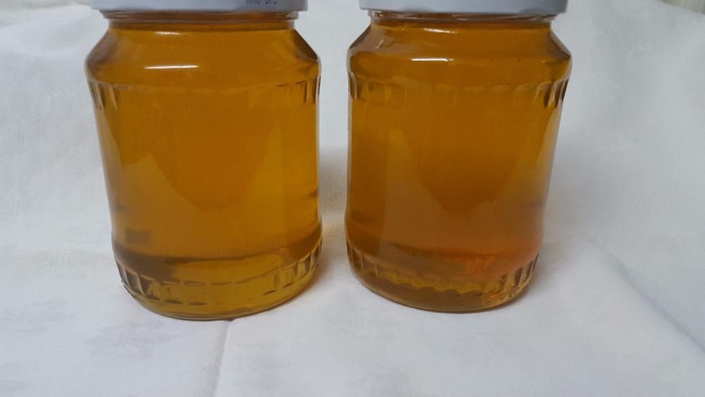 Miere de albine poliflora