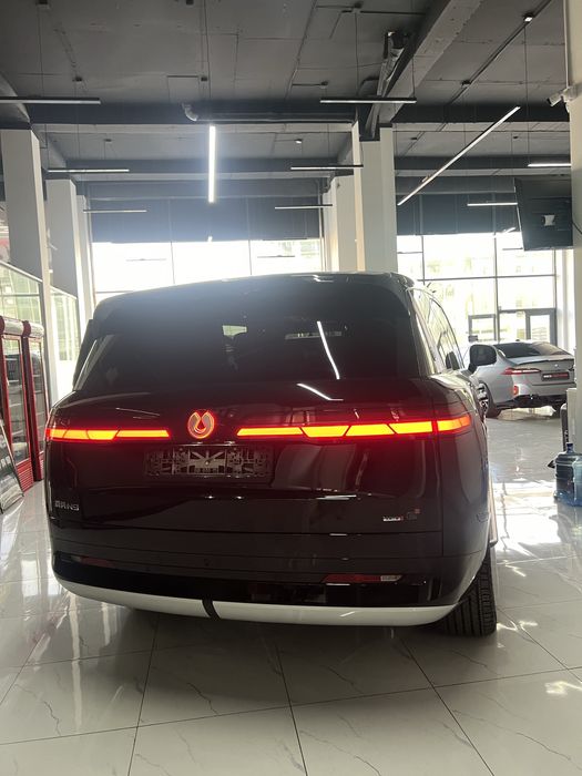 Denza N9 full комплектация