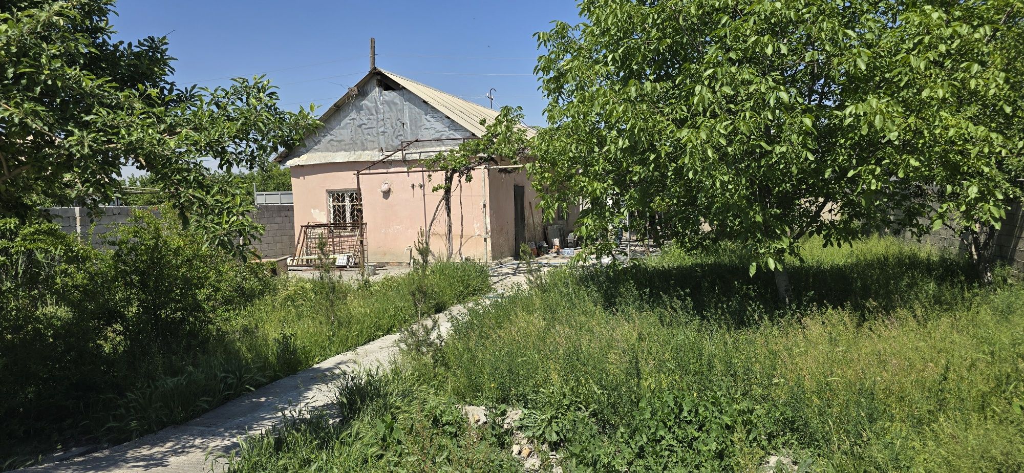 Dacha tezda sotiladi