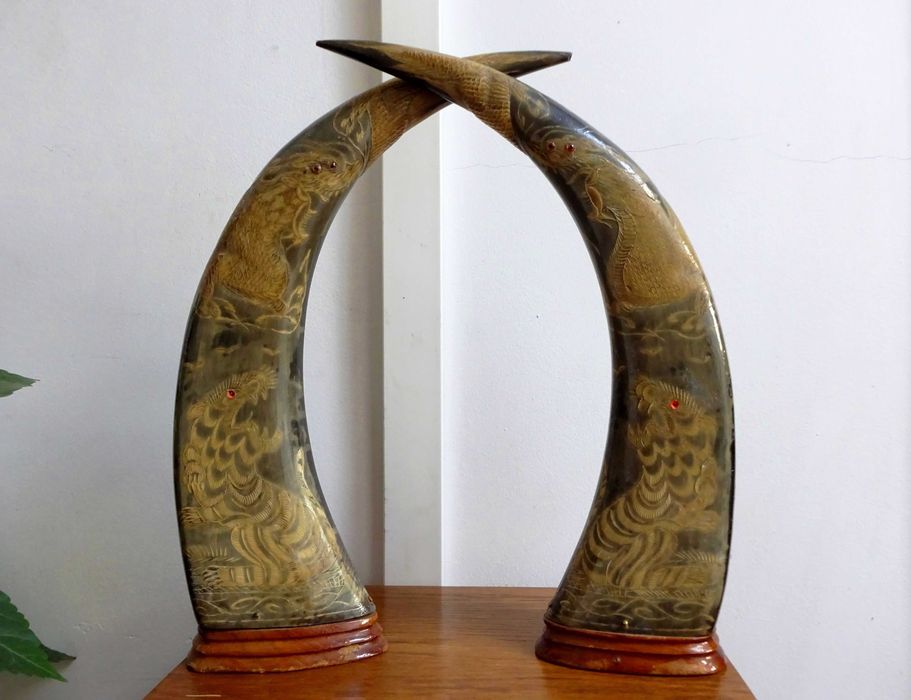 Coarne bivol Feng Shui, gravate manual, VECHI piese asiatice