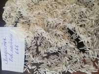 Bu gurunch Hindiston gurunchi