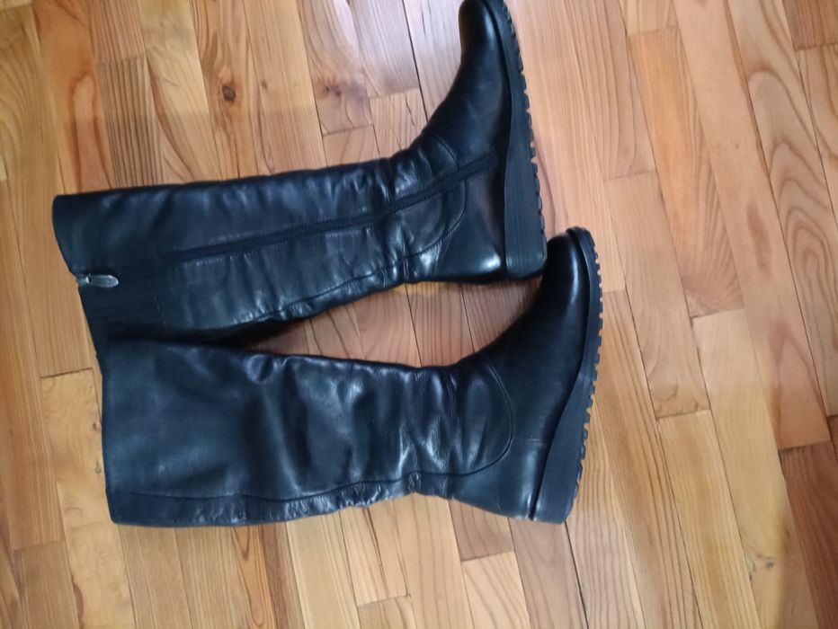 Женские сапоги бренда Basconi