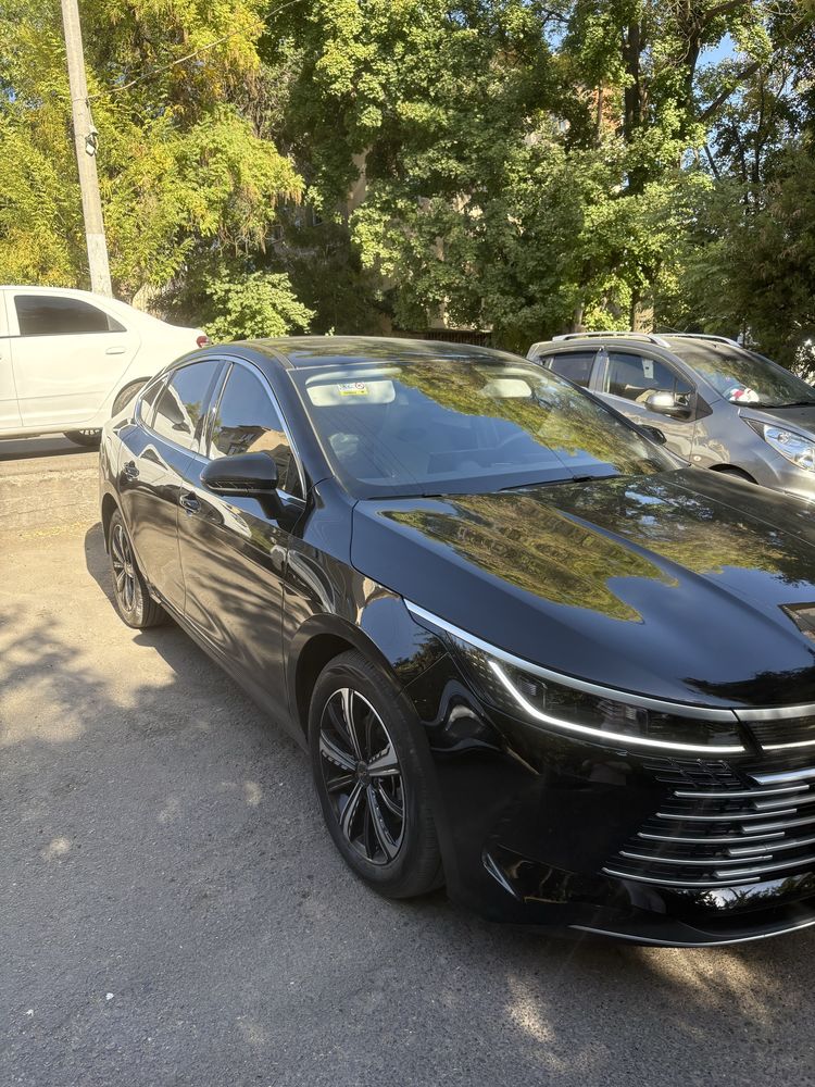 Byd Chazor 4 position Hybrid