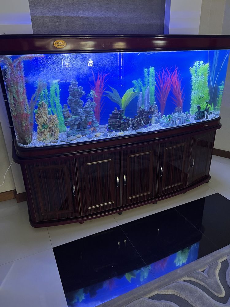 Akuvarium 850 lt,