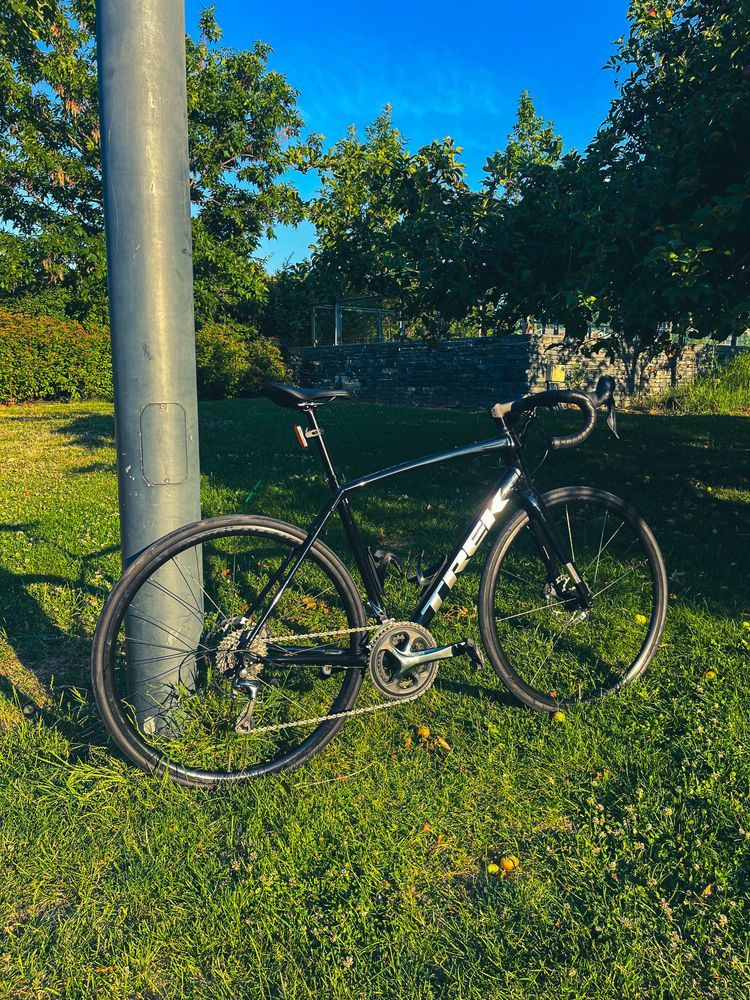 Trek Domane AL 4