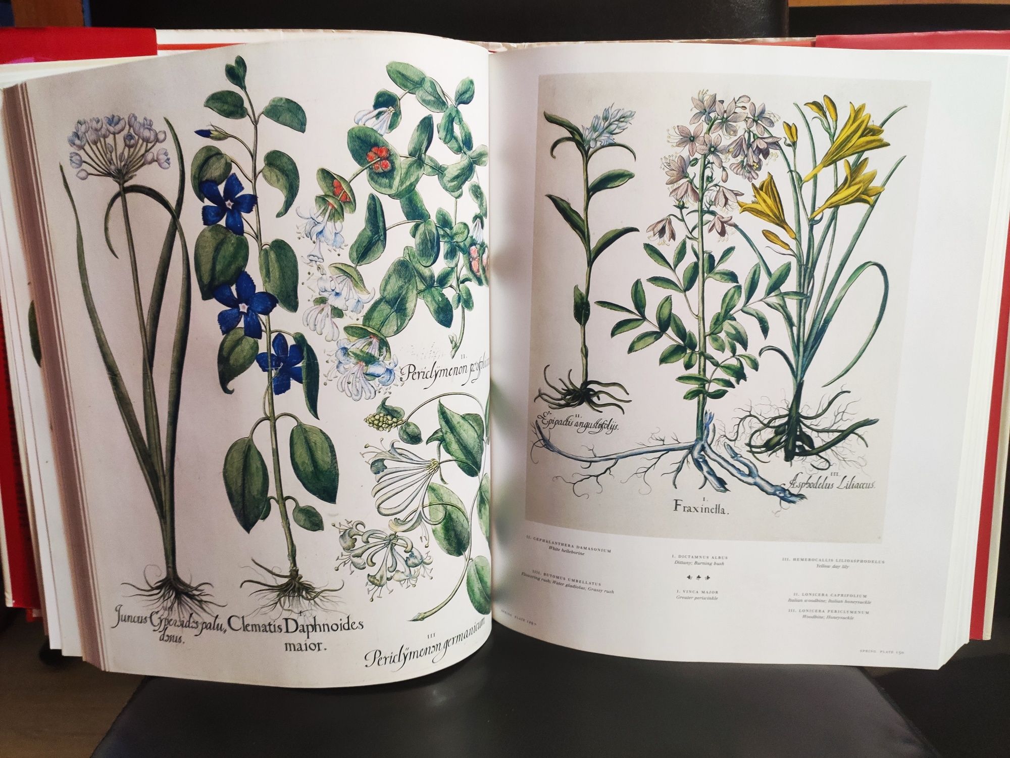 The Book of Plants - ediție aniversară