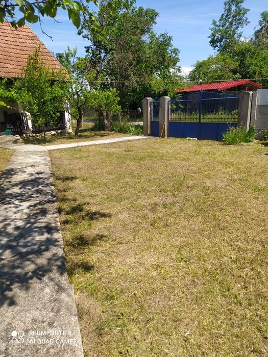 Tuns iarba, tocat crengi, toaletat pomi și gard viu